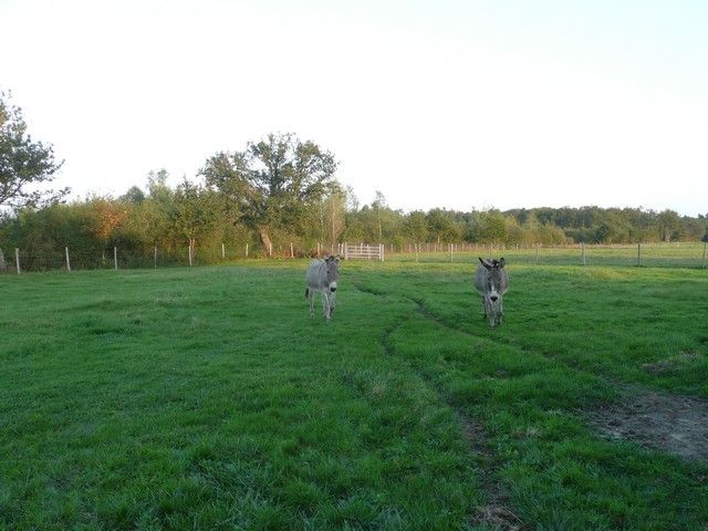 Balthazar et leonard Arrivee (32).jpg